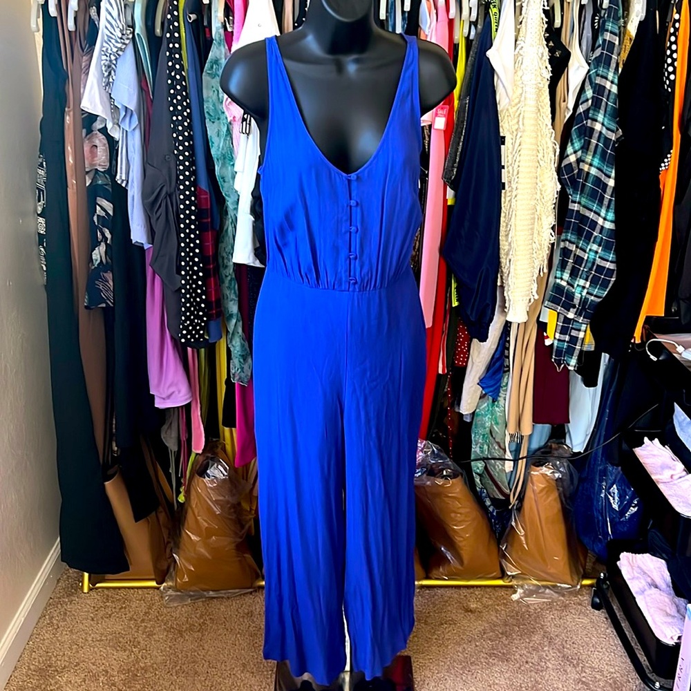 Beautiful Blue button down jumpsuit